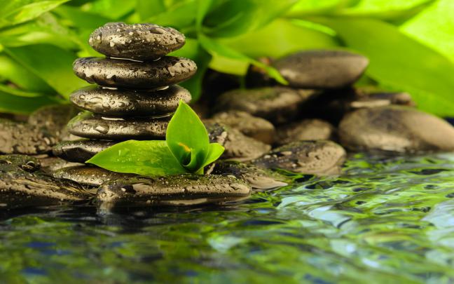 Peaceful Zen Gardens Wallpaper -