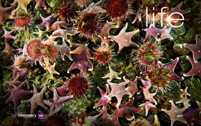 Discovery Channel Wallpapers (64+ images)