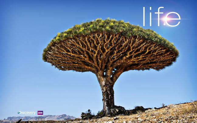 Discovery Channel HD Wallpapers | Full HD Pictures