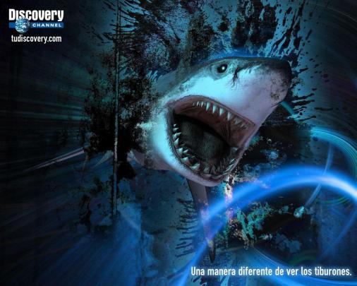Discovery Channel Wallpapers