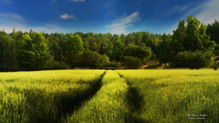 Download Discovery Channel HD Wallpapers Gallery