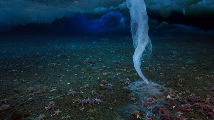 Discovery Channel Wallpapers \u00b7\u2460 