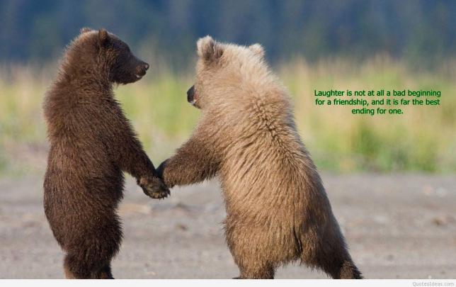 Discovery Channel Animals Wallpapers