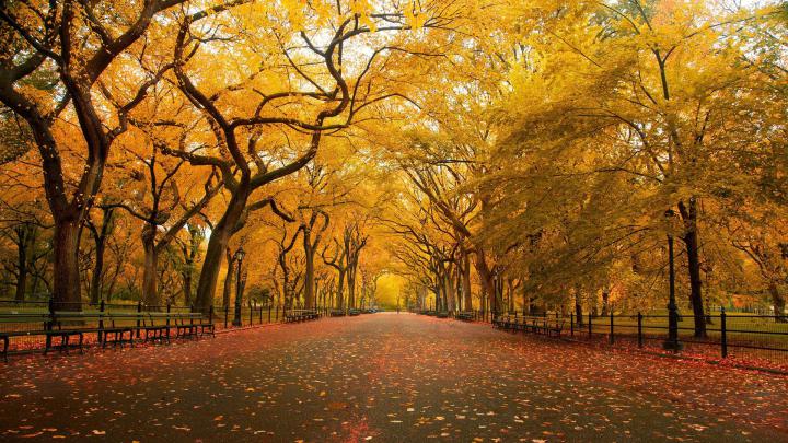 Fall Wallpapers HD make your desktop shine brighter