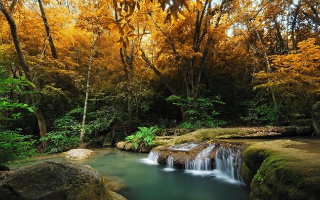 Autumn HD Widescreen Wallpaper -