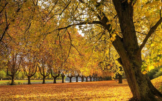 Autumn HD Widescreen Wallpaper (71+ images)