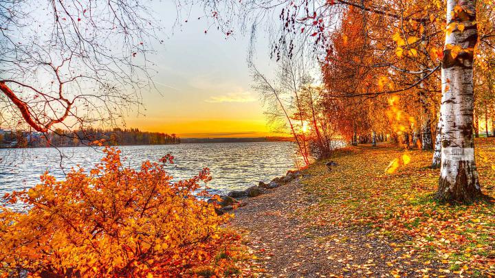 Fall Desktop Wallpapers HD