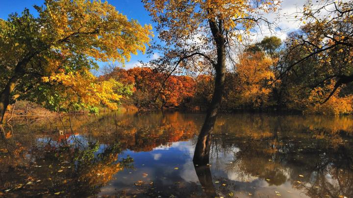 Fall HD Widescreen Wallpaper (58+ images)