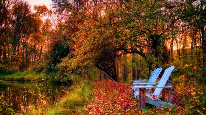Free Fall Hp Widescreen Wallpapers WallpapersWide Com Autumn HD Desktop 