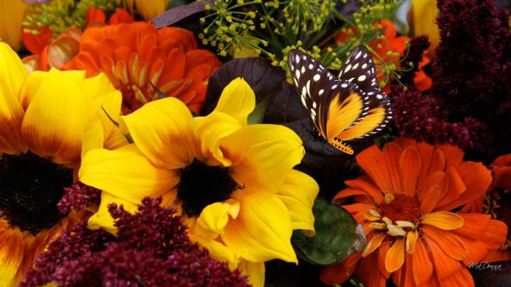 Bouquet For Fall HD desktop wallpaper : Widescreen : High Definition 