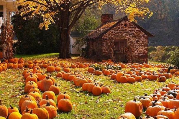 Autumn wallpaper Widescreen \u00b7\u2460 Download free amazing High Resolution 