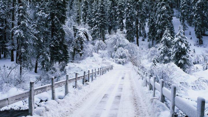Snow Falling Backgrounds