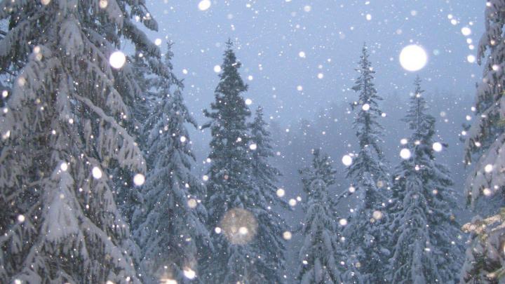 Snow Falling Backgrounds