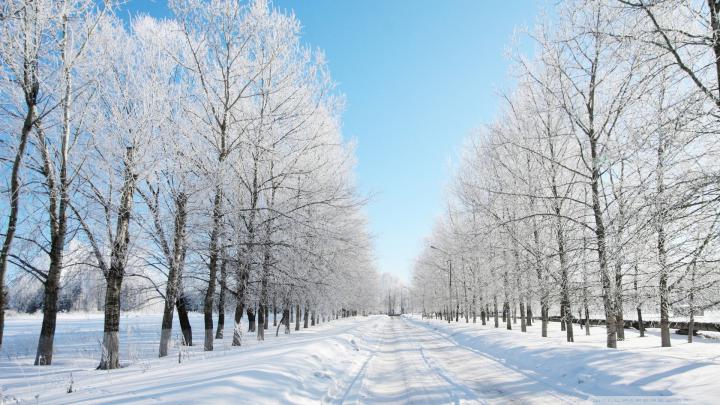 Falling Snow Wallpapers Background (50+ images)