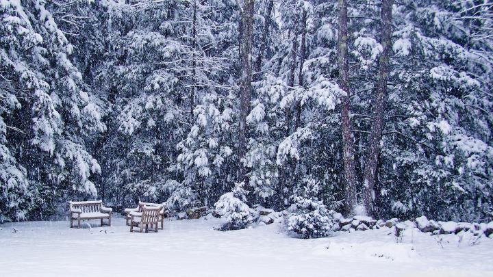 Live Snow Falling Wallpaper (54+ images)