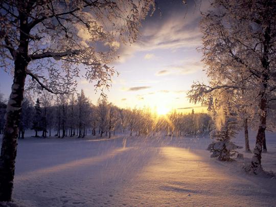 [49+] Animated Snow Falling Wallpaper 