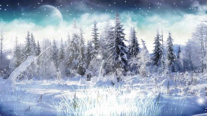 Animated Snow Falling Wallpaper -