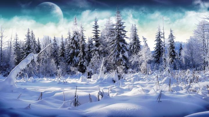 Snow Fall Winter HD Wallpapers - HD Wallpapers Blog