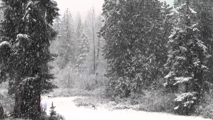 Falling Snow Animated Wallpaper (57+ images)