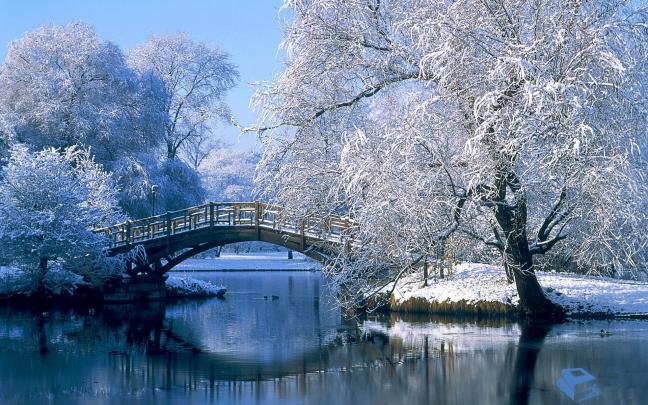 Falling Snow Wallpapers Background (50+ images)