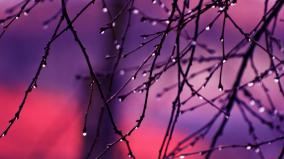 Desktop Wallpaper Raindrops