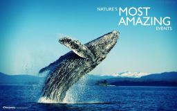 Discovery Channel Desktop Wallpaper