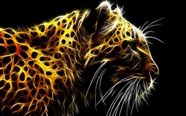 Abstract Animal Wallpapers - Top Free Abstract Animal Backgrounds 