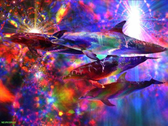 Trippy Alien Wallpapers - Top Free Trippy Alien Backgrounds 