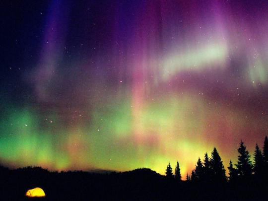 Best 52+ Aurora Wallpaper on HipWallpaper | Winter Aurora Wallpaper 