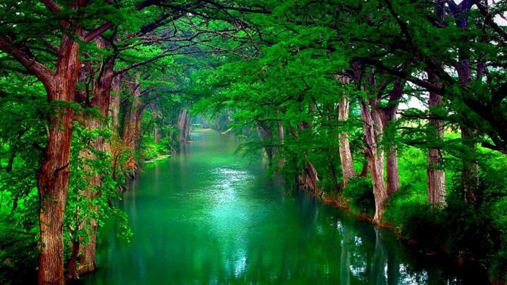 10 New Best Nature Wallpapers 1920X1080 FULL HD 1080p For PC Background 