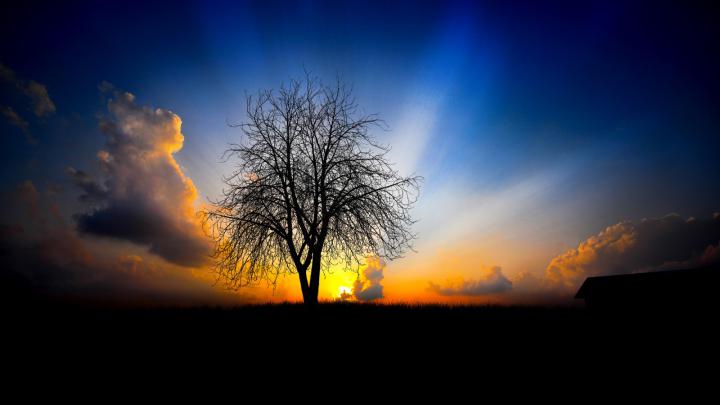 NATURE TO NATURE : Best Nature Full HD Wallpapers [1920x1080] Daily Updates