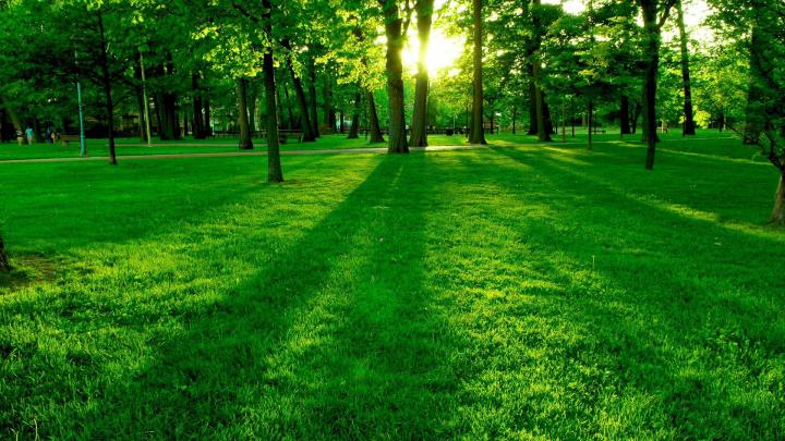 10 New Best Nature Wallpapers 1920X1080 FULL HD 1080p For PC Background 