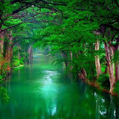 10 New Best Nature Wallpapers 1920X1080 FULL HD 1080p For PC Background