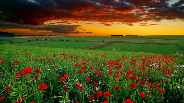 HD Wallpapers Widescreen 1920X1080 (75+ background pictures)