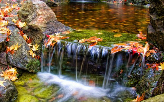 HD Wallpaper Waterfall Download
