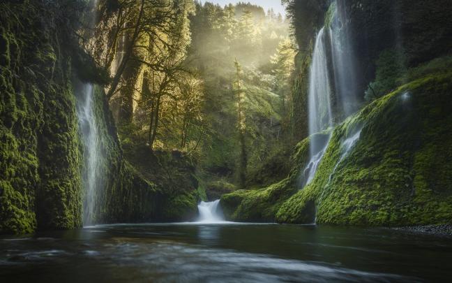 fog, Tree, Forest, Autumn, Nature, Beauty, Mist, Landscape, Waterfall 