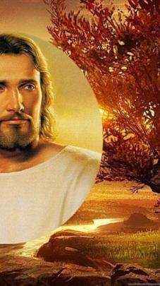 Wallpapers Divine Mercy Jesus My Lord And Christ Ajilbab Com 