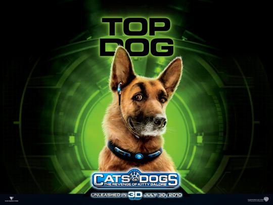 Diggs from Cats and Dogs Desktop Wallpaper