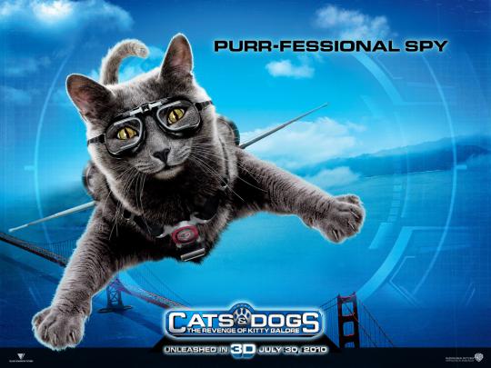 Catherine the Cat from Cats and Dogs Desktop Wallpaper