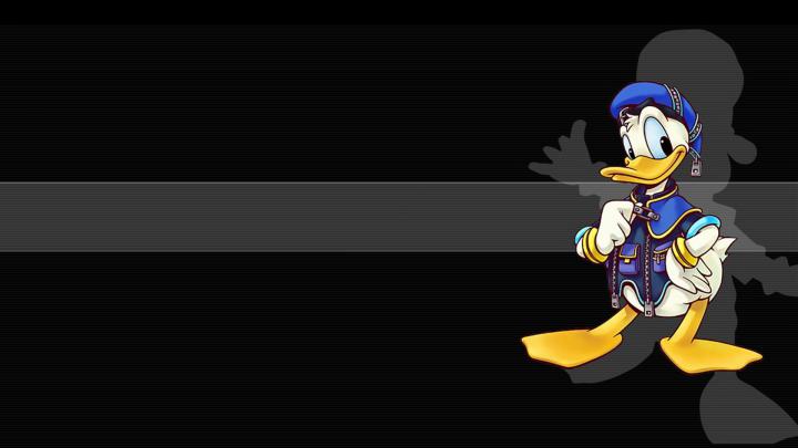 Donald Duck Wallpapers HD