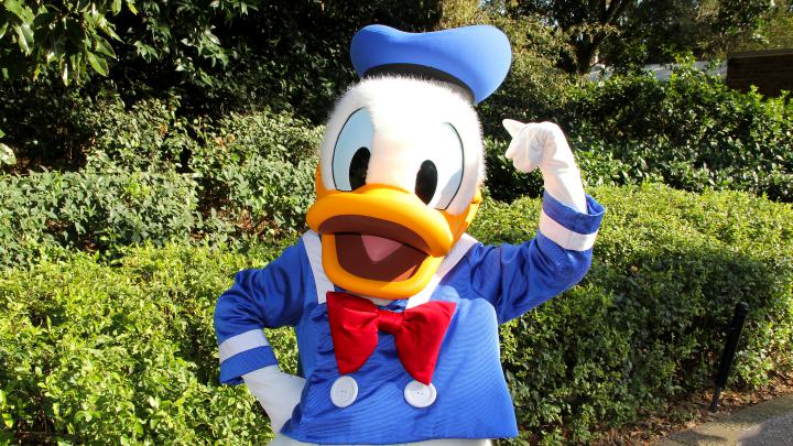 Donald Duck mascot - Cartoons character wallpaper