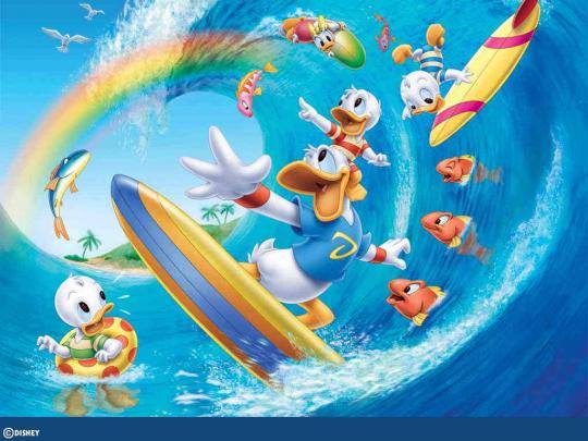 Donald Duck 1 | WallPapers