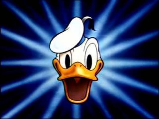 Download Donald Duck Wallpaper 12 - Wallpaper | Wallpapers.com
