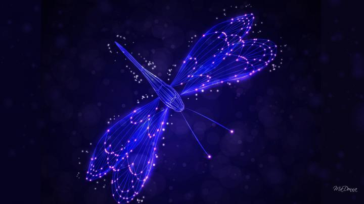 Wallpapers Dragonfly