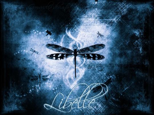 HD Desktop Wallpaper: dragonfly