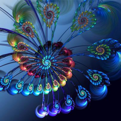 Dragonfly Backgrounds (59+ images)