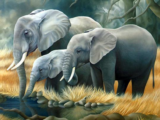 [47+] Animals Elephant Wallpaper Free Download 