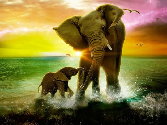 Elephant And Child Wallpaper Hd - DOWNLOAD FREE HD WALLPAPERS