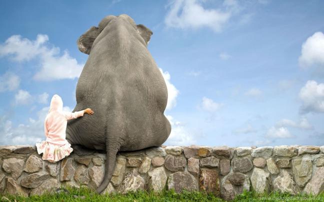 Elephant Desktop Backgrounds (74+ images)