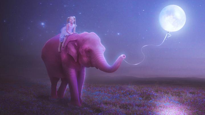 Elephant Desktop Wallpaper (77+ images)